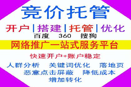 百度SEO推广策略深度解读：某企业网络营销的胜利之路